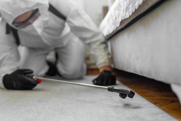Professional Termite Control technician working in Green, OH