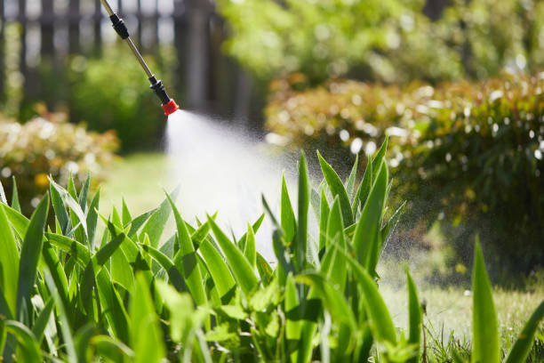 24/7 Emergency Termite Control experts in Green, OH